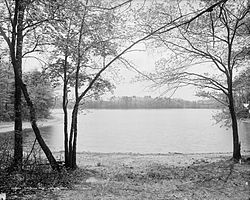 Walden Pond- 2